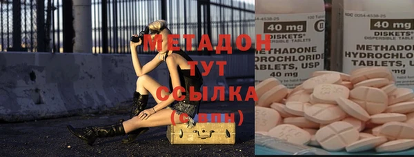 ГАЛЛЮЦИНОГЕННЫЕ ГРИБЫ Инта