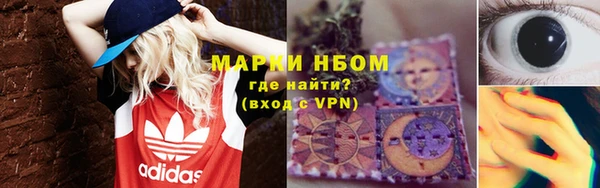 дурь Инсар