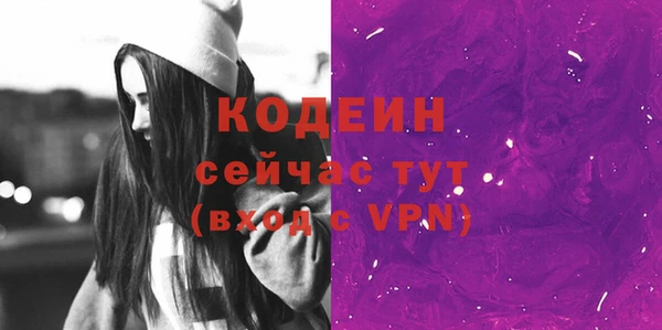 ГАЛЛЮЦИНОГЕННЫЕ ГРИБЫ Инта