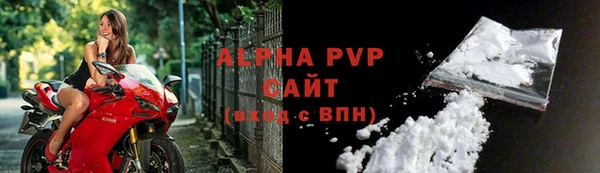 ГАЛЛЮЦИНОГЕННЫЕ ГРИБЫ Инта