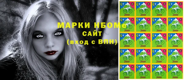 дурь Инсар