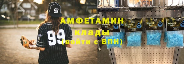 дурь Инсар