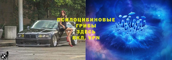 дурь Инсар