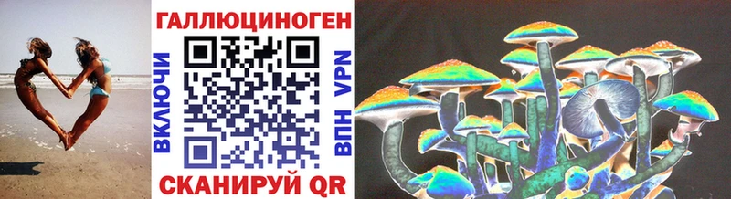 Галлюциногенные грибы MAGIC MUSHROOMS  Купить где  Оса 